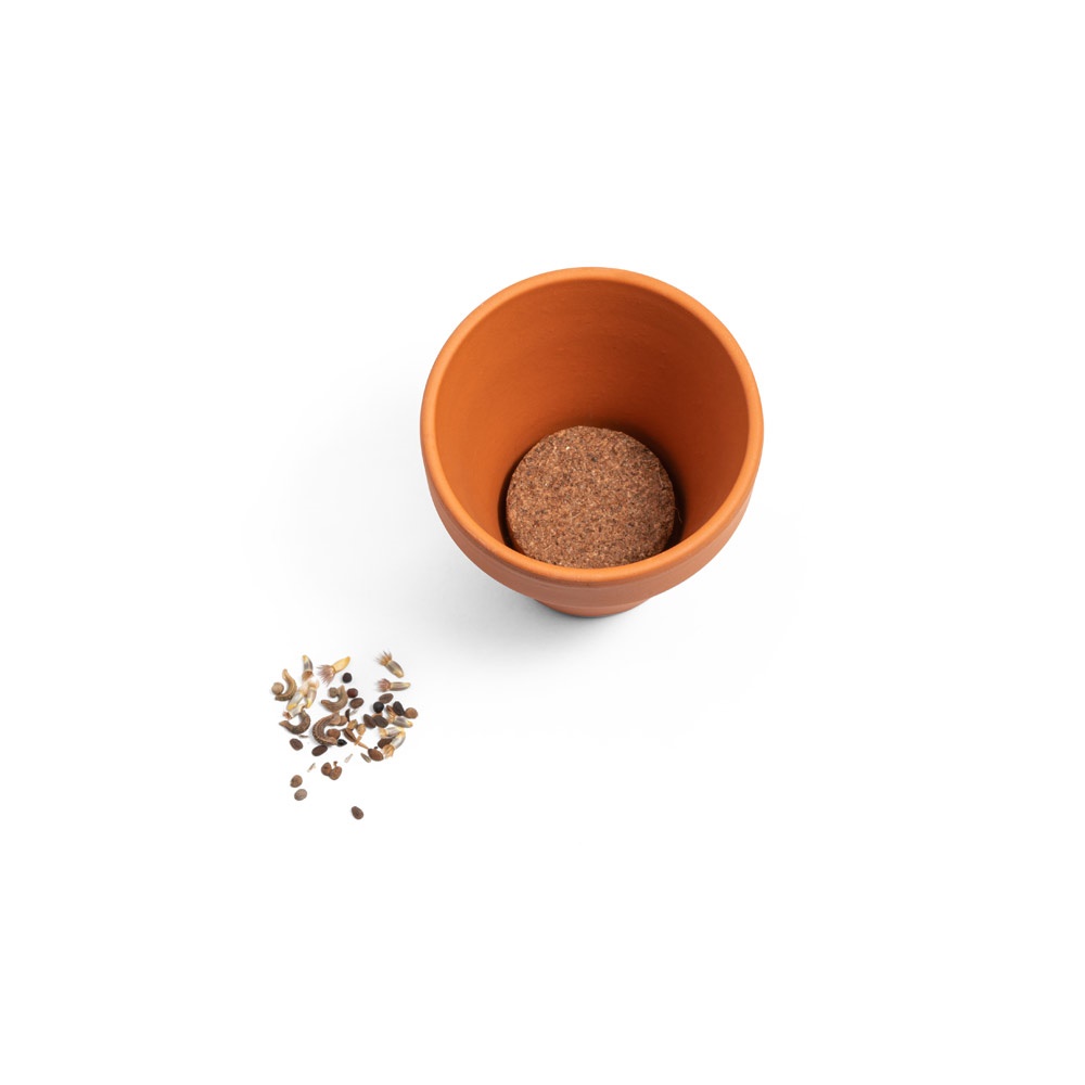 ANETHUM. Clay pot with dill - 96127_160-b.jpg