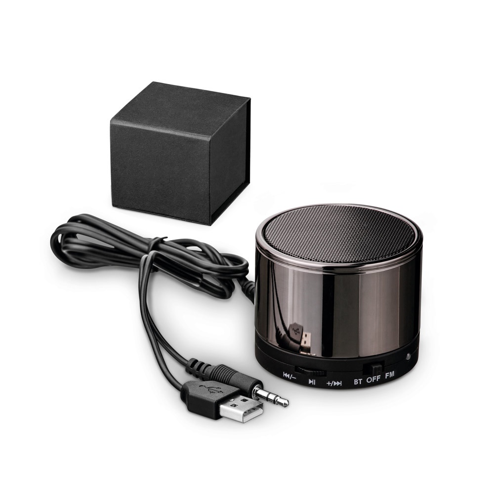 SYNTH. Portable speaker with microphone - 97927_set.jpg